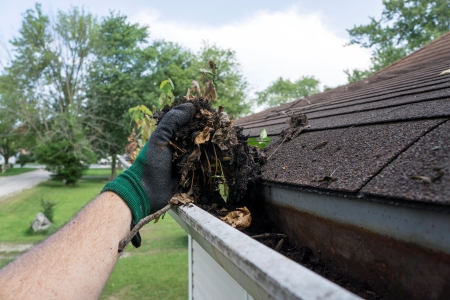 Gutter cleaning services in Orland Park